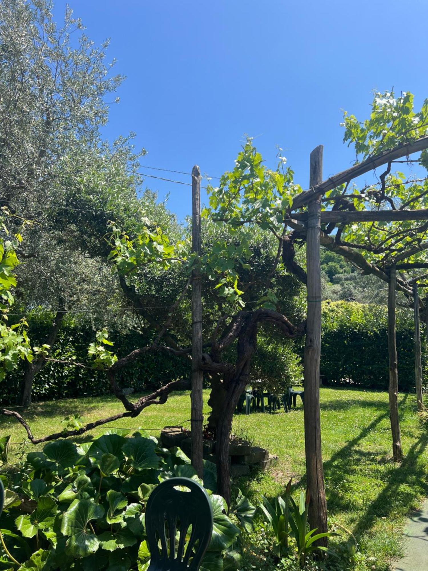 Agriturismo Le Grottelle Villa SantʼAgata sui Due Golfi Eksteriør bilde